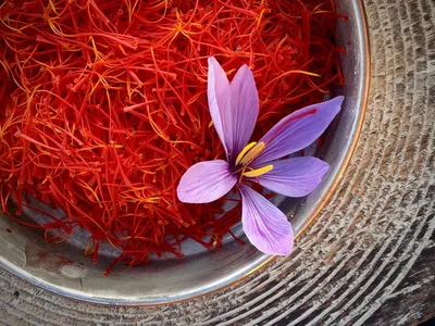 Saffron flowers on the field Stock Photo by ©viperagp 34397817