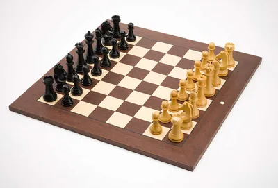 Доска для шашек, шахмат 64 клетки (35х35), картонная - купить оптом и в  розницу, цена от производителя Фирма Мед, Винница, Украина