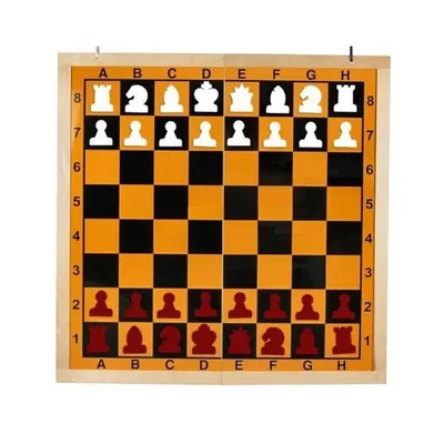 Шахматная доска турнирная без фигур из бука 41.5 на 41.5 см - купить с  доставкой по выгодным ценам в интернет-магазине OZON (348197123)