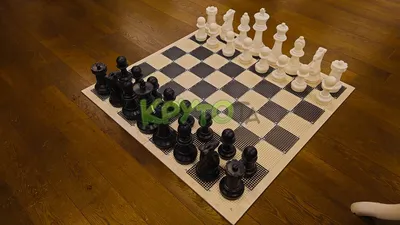 Обиходные\" лакированные шахматы купить