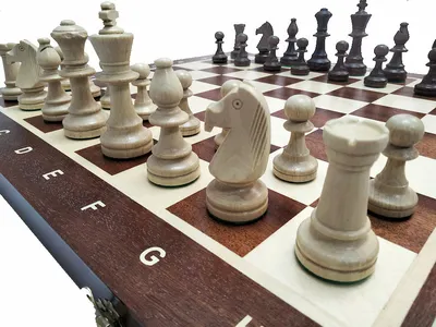 В США и Англии захотели лишить преимущества белые фигуры в шахматах: Летние  виды: Спорт: Lenta.ru