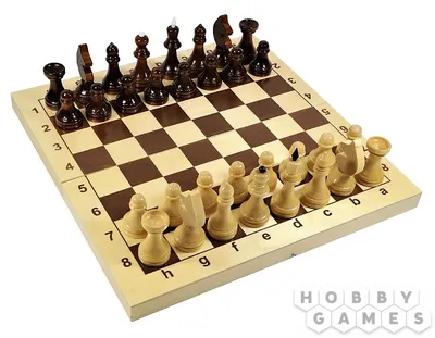 Шахматы деревянные 29х29 см | Купить настольную игру Шахматы деревянные  29х29 см в Минске по цене 52.00 р. в интернет-магазине Hobbygames