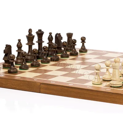 Как шахматы объясняют мир (Foreign Policy, США) | 18.01.2022, ИноСМИ