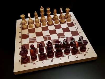 На Новом физтехе даже шахматы — из перовскита: команда ученых из ИТМО  сделала прототип светящихся шахмат на основе нано- и метаматериалов