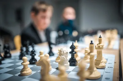 Спорт плюс искусство: где поиграть в шахматы в Москве / Новости города /  Сайт Москвы