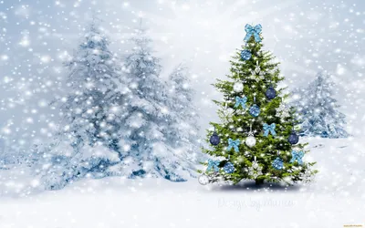Обои \"Зима и Новый год\" на рабочий стол: самые яркие! | Holiday wallpaper,  Wallpaper iphone christmas, Christmas wallpaper