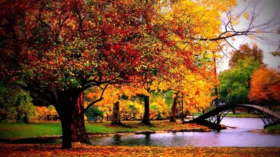 Картинки вода, деревья, листья, мосты, небо, осень, природа, широкоформатные  - обои 1280x1024, картинка №132059