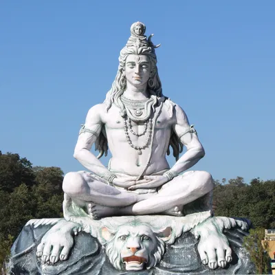 Mystical experience that turned a British couple into Shiva devotees |  Times of India