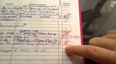 В Омске нашли школьный дневник 1907 года и сравнили с современным - 23  апреля 2023 - НГС55.ру
