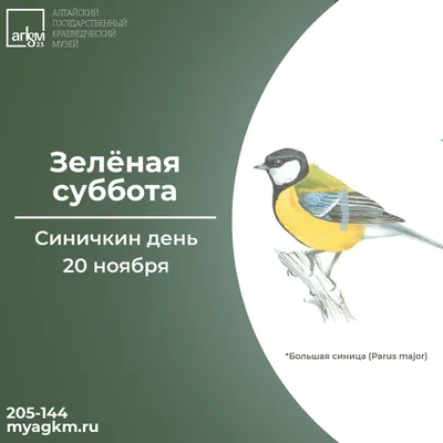 12 ноября–Синичкин день» 2023, Азнакаевский район — дата и место  проведения, программа мероприятия.
