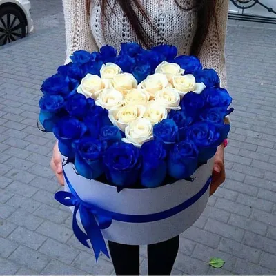 Картинки голубые розы, букет, синие розы, Цветы, цветок, розы - обои  1920x1200, картинка №53922