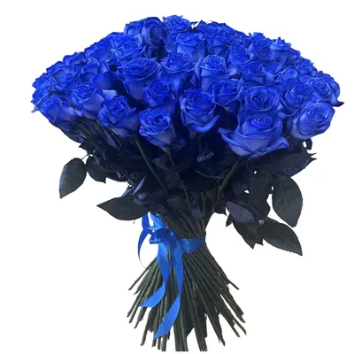 Фотообои Синие розы на стену. Купить фотообои Синие розы в  интернет-магазине WallArt