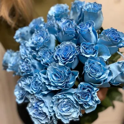 Artflower.kz | Синие розы - Купить с доставкой в Алматы по лучшей цене