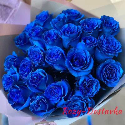 Роза синяя (мелкий бутон) 50-60см, Голландия купить с доставкой в СПб