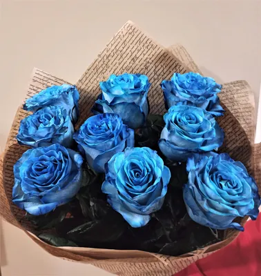 Синие розы - красивые фото