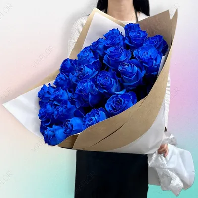 Обои на рабочий стол Две синие розы с каплями воды, обои для рабочего  стола, скачать обои, обои бесплатно