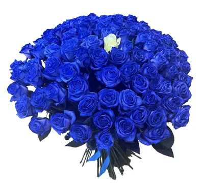 Розы Эквадор синие с доставкой по Пензе от 273 руб.