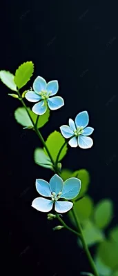 Фото обои про любовь 368x254 см Синие цветы (13531P8)+клей (ID#1536312474),  цена: 1200 ₴, купить на Prom.ua