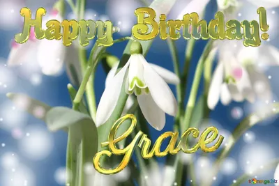Happy Birthday! Grace Spring Flowers Безкоштовна картинка - 2714