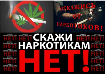 Скажи наркотикам нет! — Официальный сайт Добровского сельского поселения  Симферопольского района Республики Крым