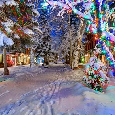Сказочная зима | Colorado christmas, Beautiful christmas, Outdoor christmas