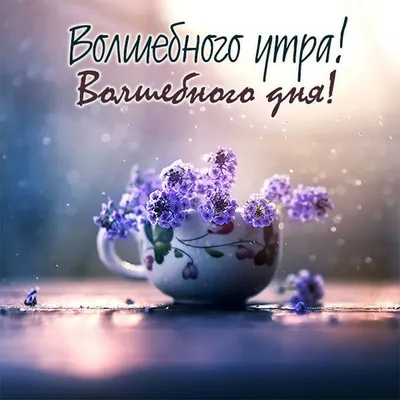 Картинка доброе утро и чудесного настроения - GreetCard.ru