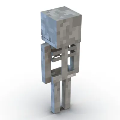 Скелет — Minecraft Wiki