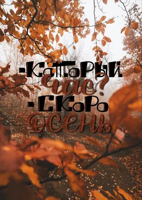 Скоро осень🍁 | Осень, Цитаты об осени, Осенние картинки