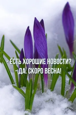 скоро весна картинки: 2 тыс изображений найдено в Яндекс.Картинках |  Остров, Картинки, Весна