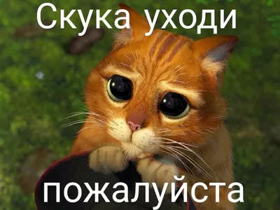 Андрей Кончаловский - Вот меня спрашивают: «Мне скучно. Что мне делать?».  Давайте я начну с того, чего не делать. Первое – не лезть в холодильник.  Второе – признать, что скучно бывает только