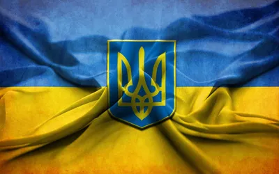 НКО \"Слава Украине\" исключат из числа организаций, пожертвования которым не  облагаются налогом | Эстония | ERR