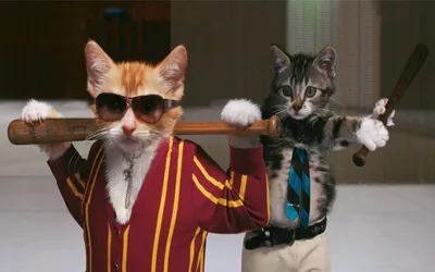 Очень смешные коты/Смешные коты 2023 года/ Приколы с котами | WorldCats |  Дзен