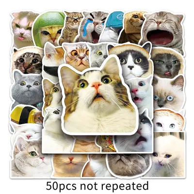 Безшовная картина с котами битника милыми Смешные симпатичные коты Дизайн  ткани, обои Иллюстрация штока - иллюстрации насчитывающей конструкция,  мило: 107890495