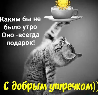 С добрым утром! | Богиня с юмором | ВКонтакте