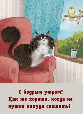 Пин от пользователя Olya Plat на доске Котэ, Смешные животные | Веселые  мемы, Смешные мемы, Рабочие приколы