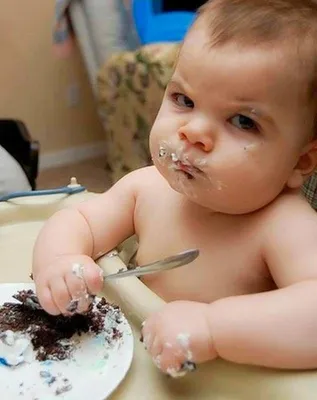 15 смешных малышей, поедающих десерт | Baby teeth, Baby, Funny memes