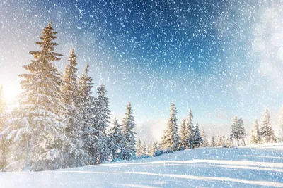 24 января – Всемирный день снега - Новости РГО