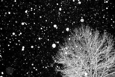 Ждём снег | Winter scenery, Winter pictures, Winter scenes