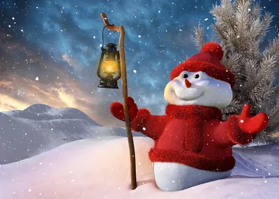 Снеговик на iPhone 13 Pro: смотрится шикарно на фото и видео | Bloha.ru |  Дзен