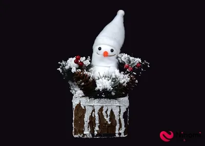 Снеговик на iPhone 13 Pro: смотрится шикарно на фото и видео | Bloha.ru |  Дзен