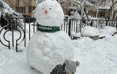 Арт-программа «Битва снеговиков – 2024» | «Центральный парк культуры и  отдыха города Владимира»