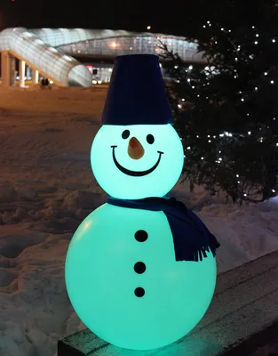 В ЦПКиО Волгограда 13 января слепят армию снеговиков