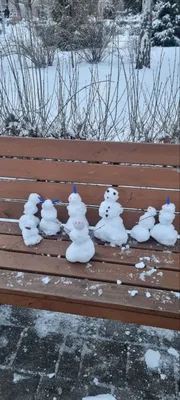 Видеоролик «Всемирный день снеговиков» | МБС Мотыгинского района
