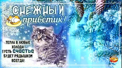 Вечерний зимний привет: 1 тыс изображений найдено в Яндекс Картинках