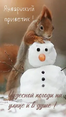 Снеговички передают всем зимний ноябрьский приветик😉😊 - Сообщество realme