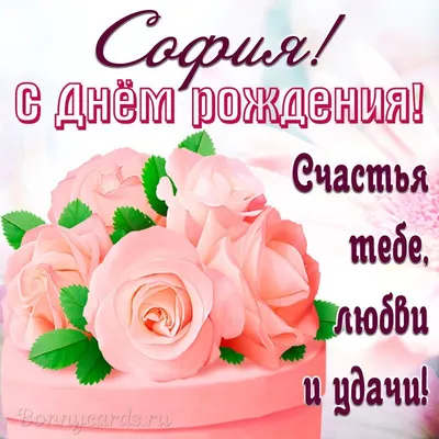 поздравление на день рождения софию креснице｜Поиск в TikTok