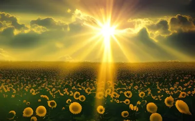 Солнечный луч пробивается сквозь …» — создано в Шедевруме