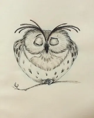 Детский рисунок совы легко (47 фото) » рисунки для срисовки на Газ-квас.ком