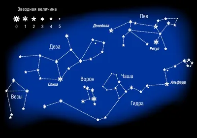 Лео созвездие льва, иллюстрация вектора с именами основных звезд  Иллюстрация вектора - иллюстрации насчитывающей космос, галактика: 131179926