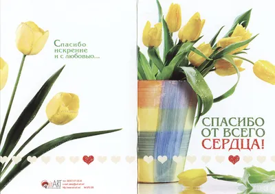 Цветы Спасибо от всего сердца доставка Владивосток Цветочный король доставка